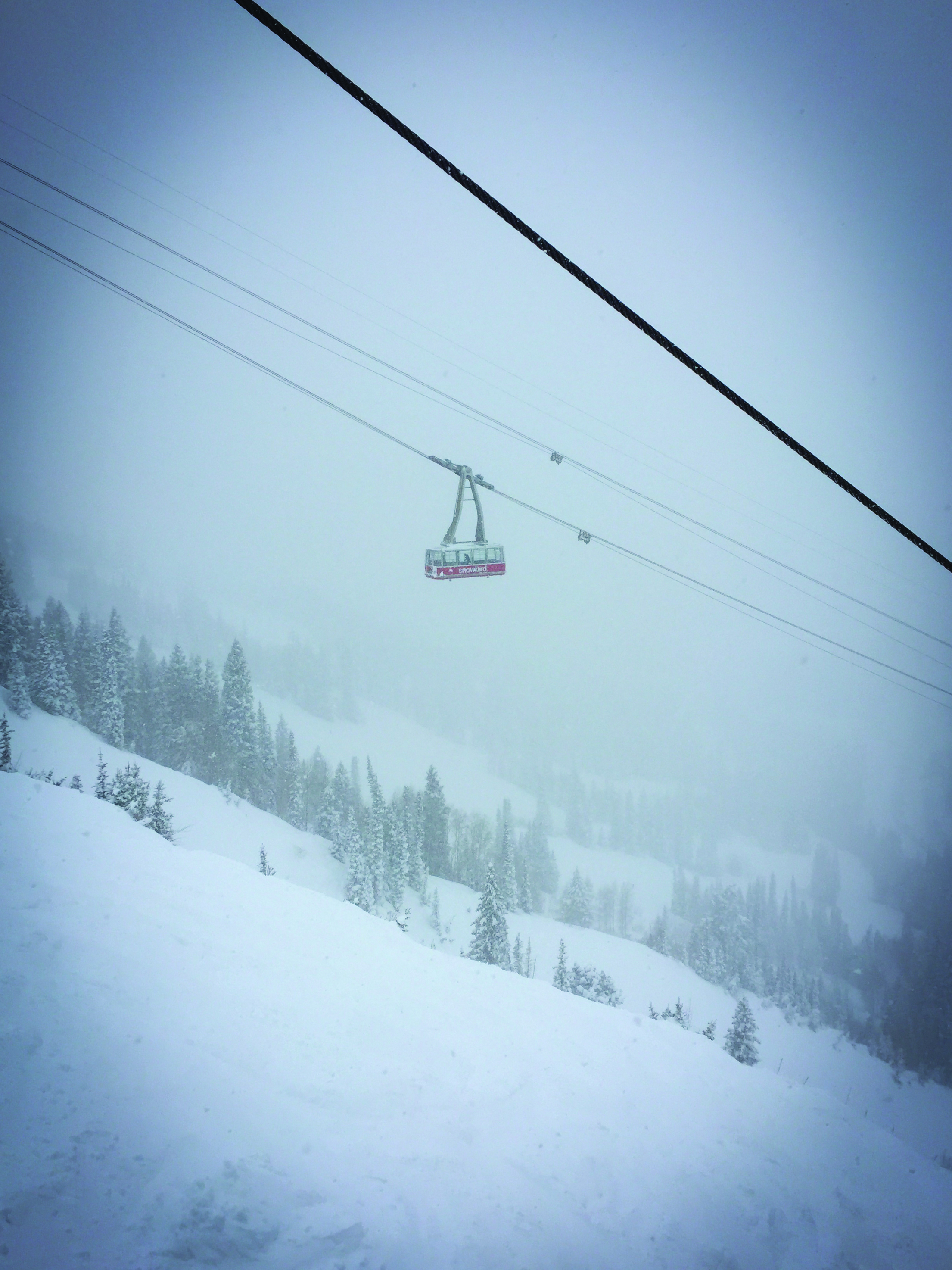   The aerial tram at Snowbird Ski Resort glides past on a powder day. Photo Neill Pieper  