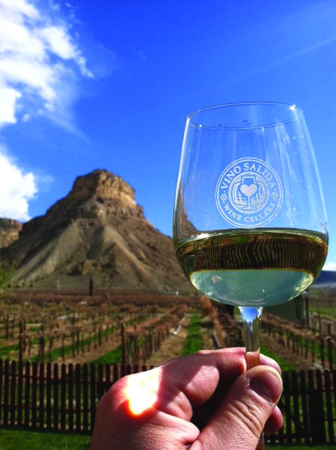 Vino Salida sources the grapes for their wine from the Western Slope near Palisade.