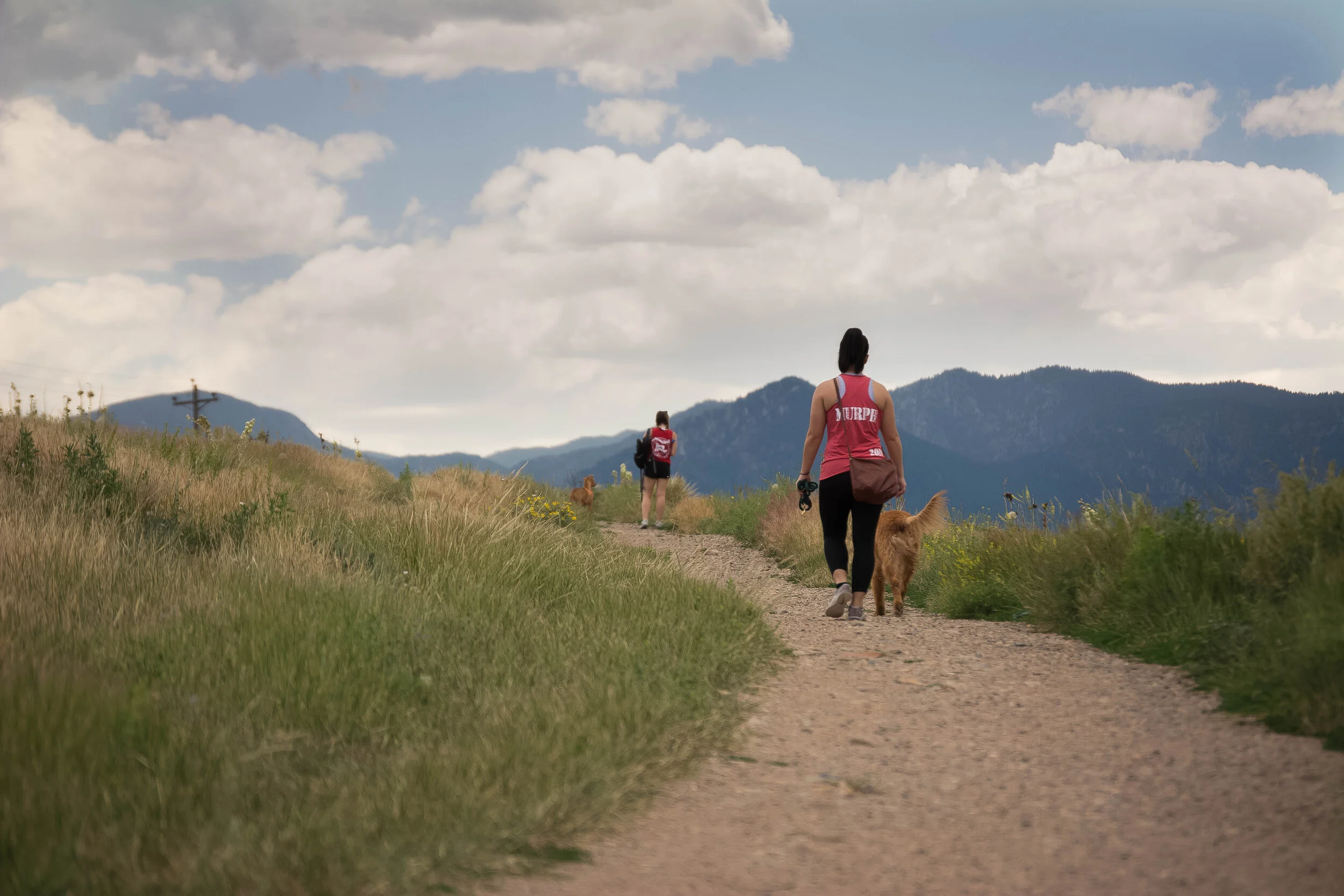 great places to walk dogs near me Avis Mcneely