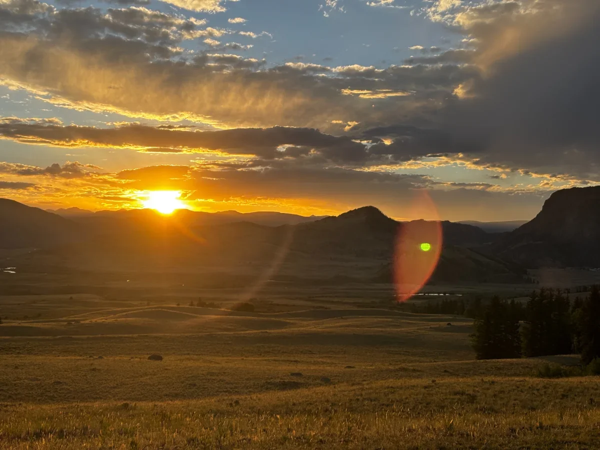 2025-07-09_20-17-15_105.webp
