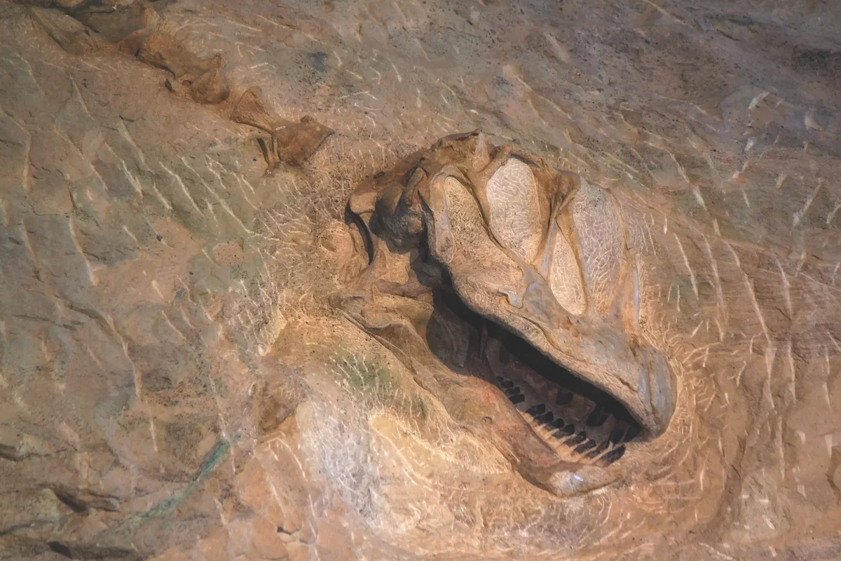  Photo courtesy of the National Park Service 