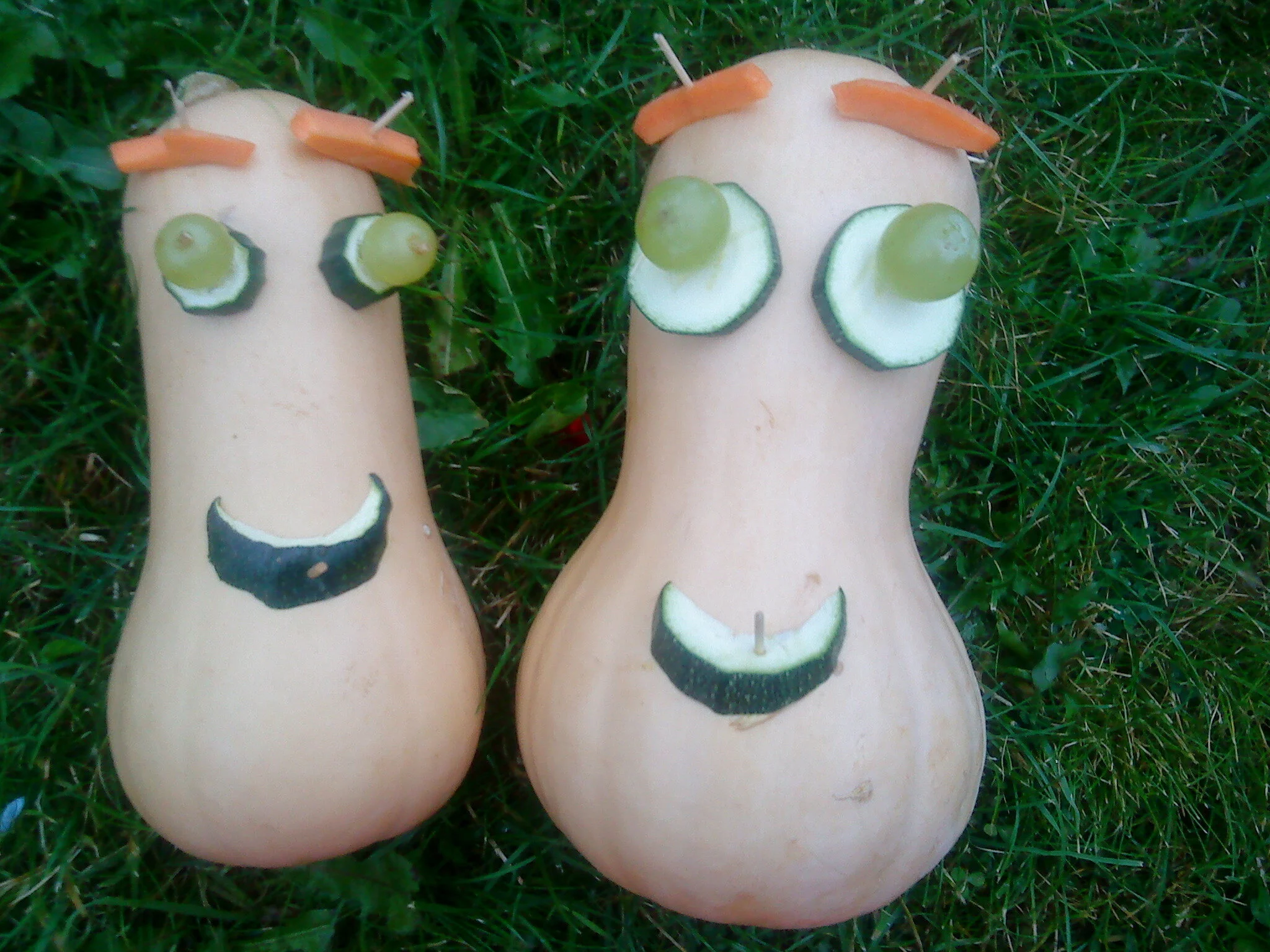 Healthy Holidays at Heeley City Farm in August