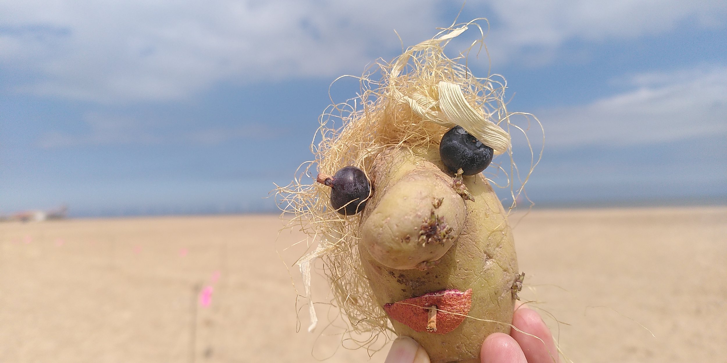 Turn the Tide Festival 2026