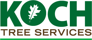 Koch Tree Services