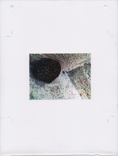 Nest and Steps ll