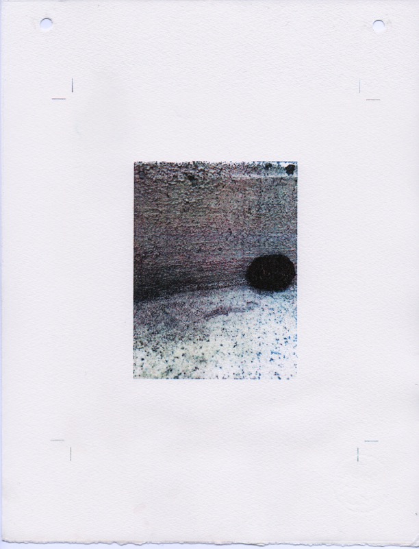 Nest and Steps XVll