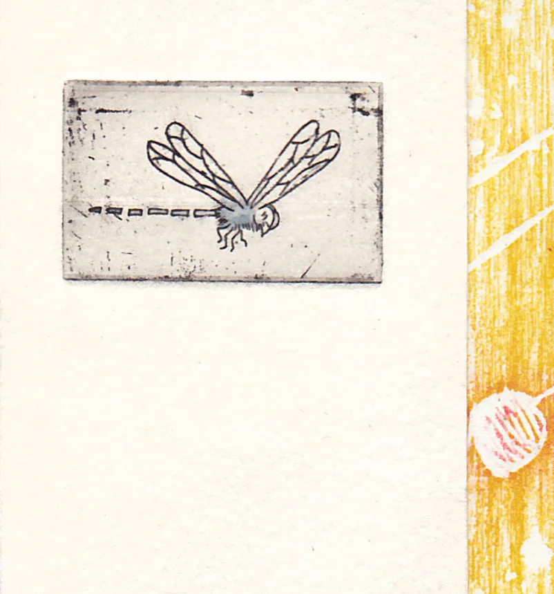 scan12e.jpg