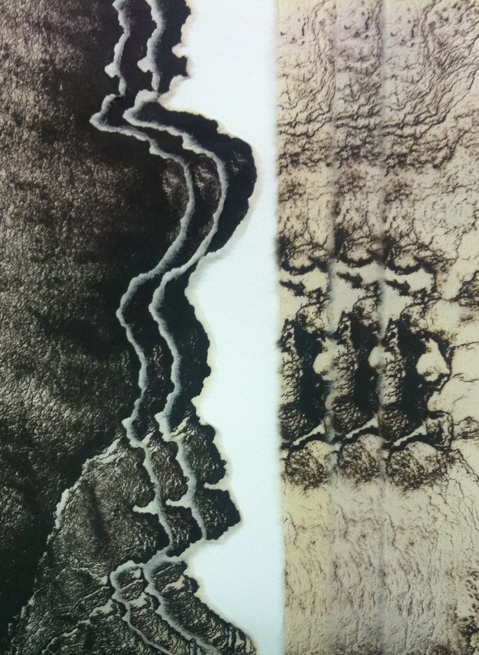 The Laminated Print. Origin and Process of Chine Collé