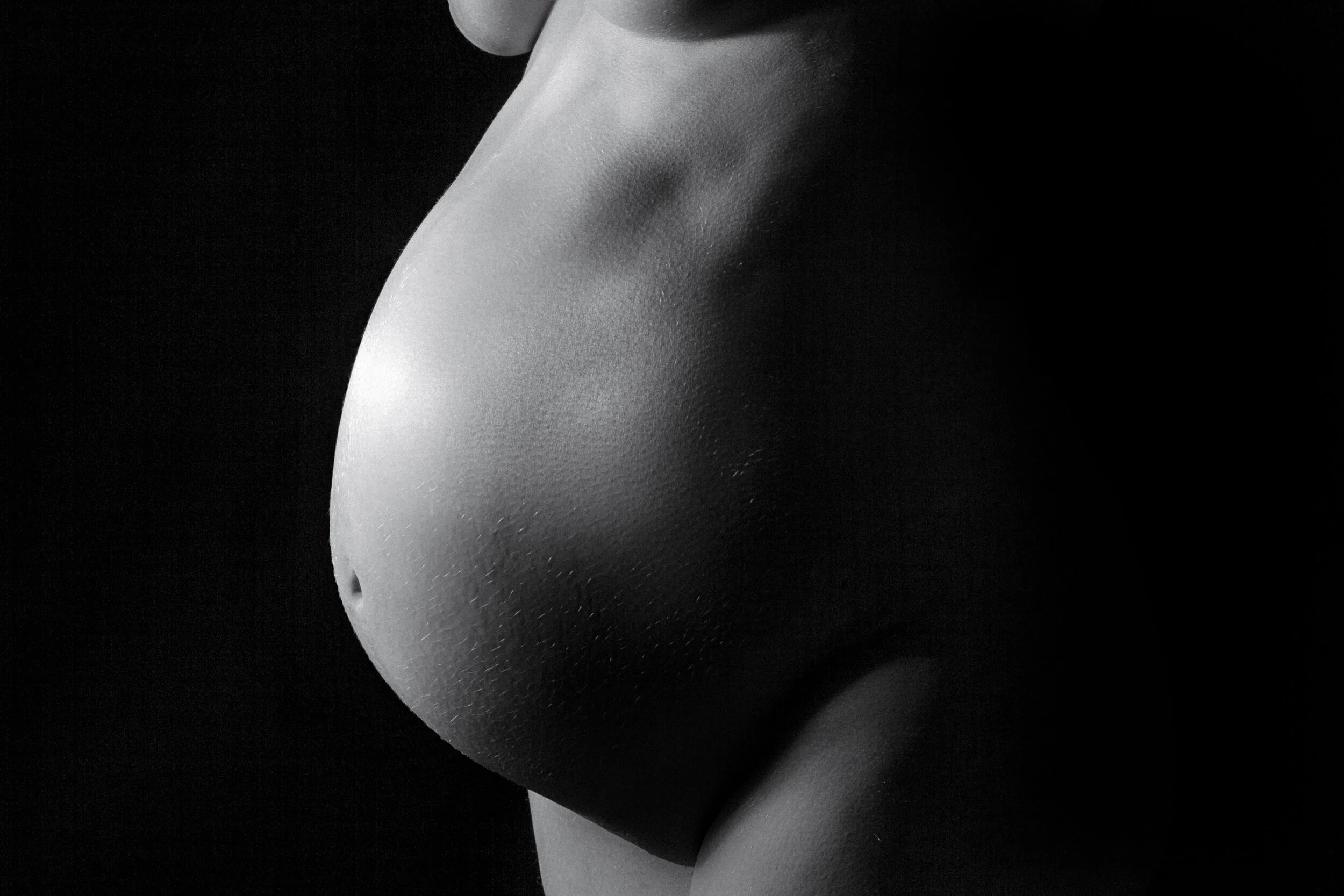 gravid shoot-2298.jpg
