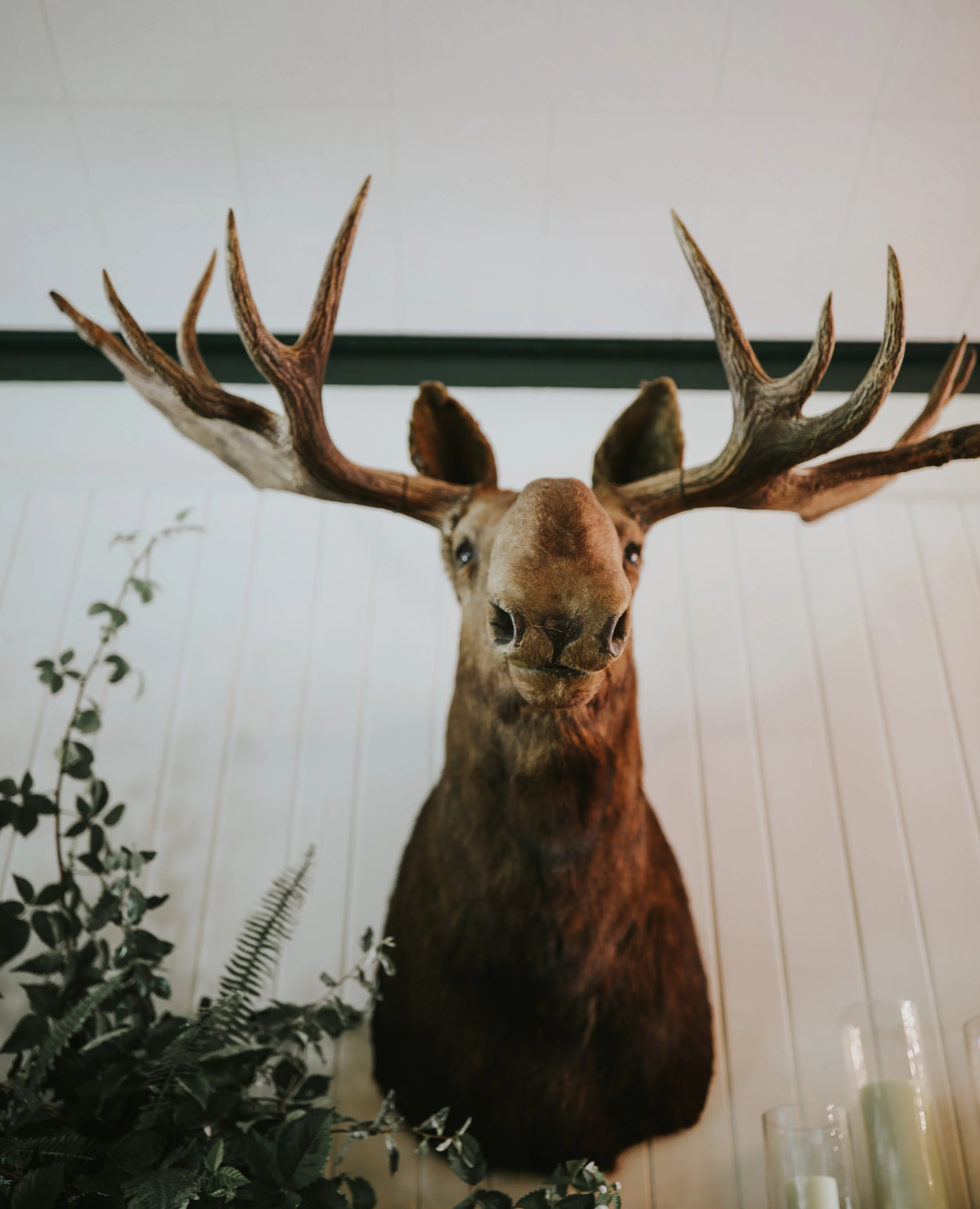 Caitlin + Wade Wedding (2 of 929).jpg