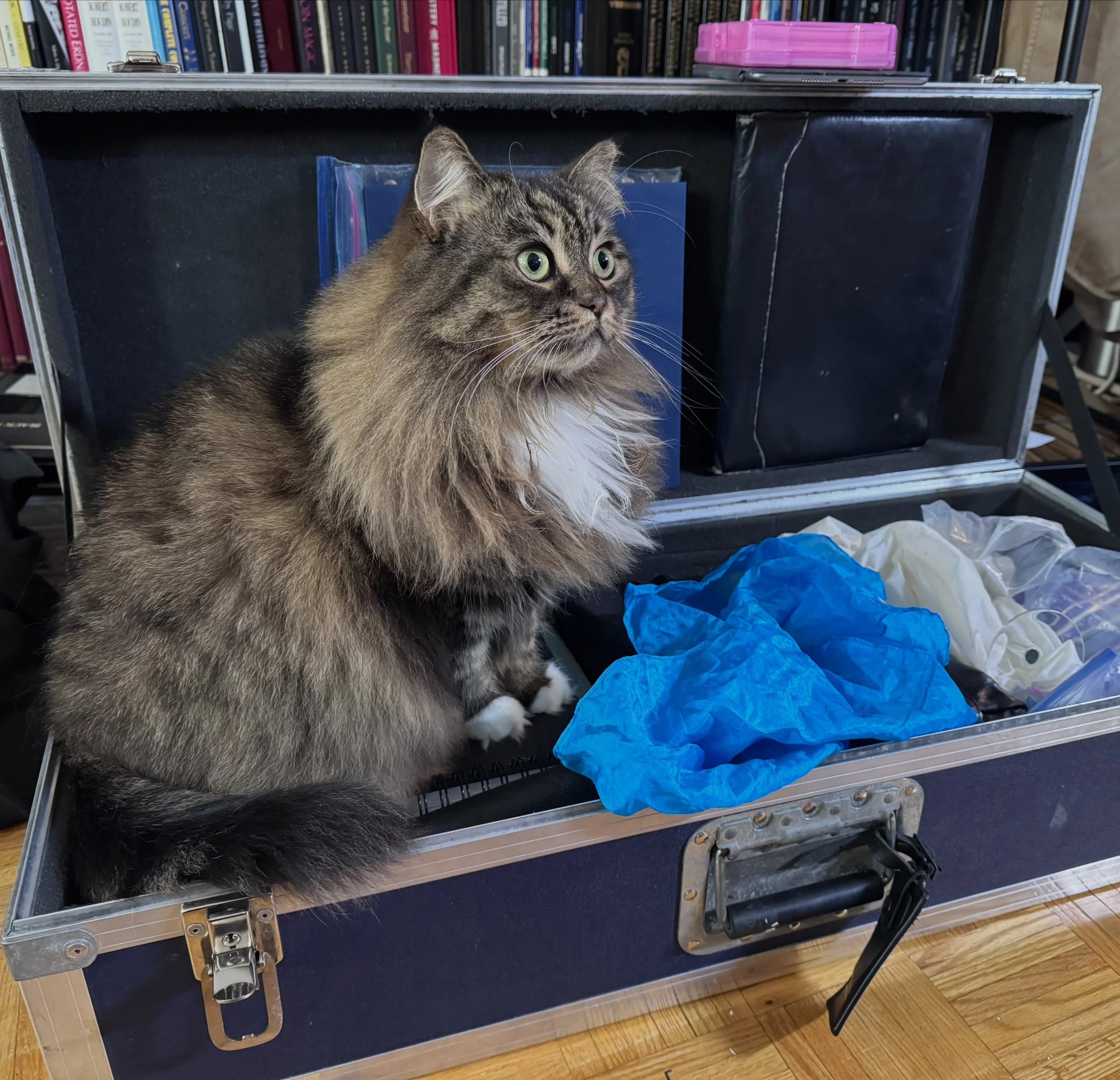 Some days packing for a show takes longer than others.