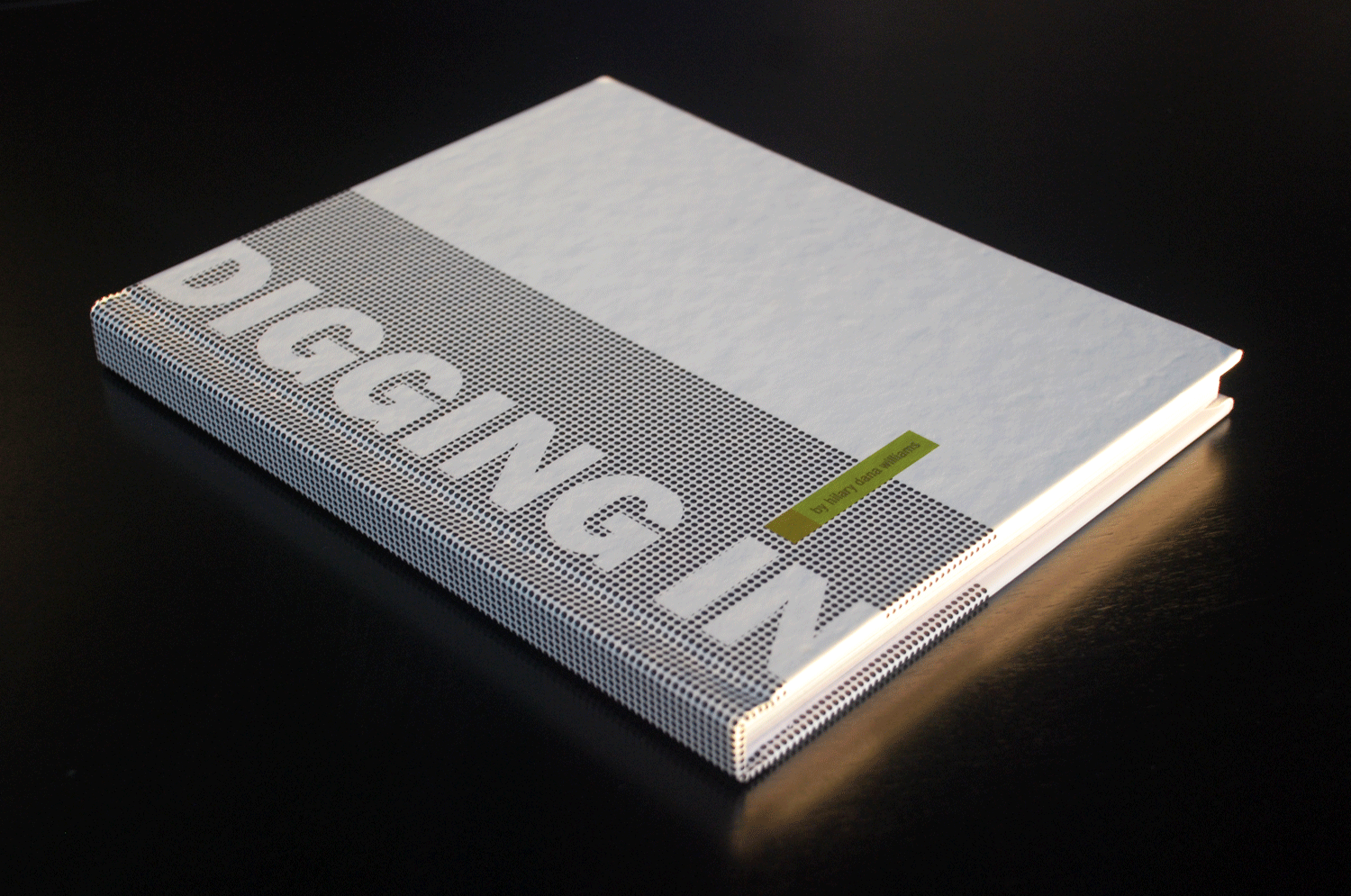 MFA thesis process book (cover)