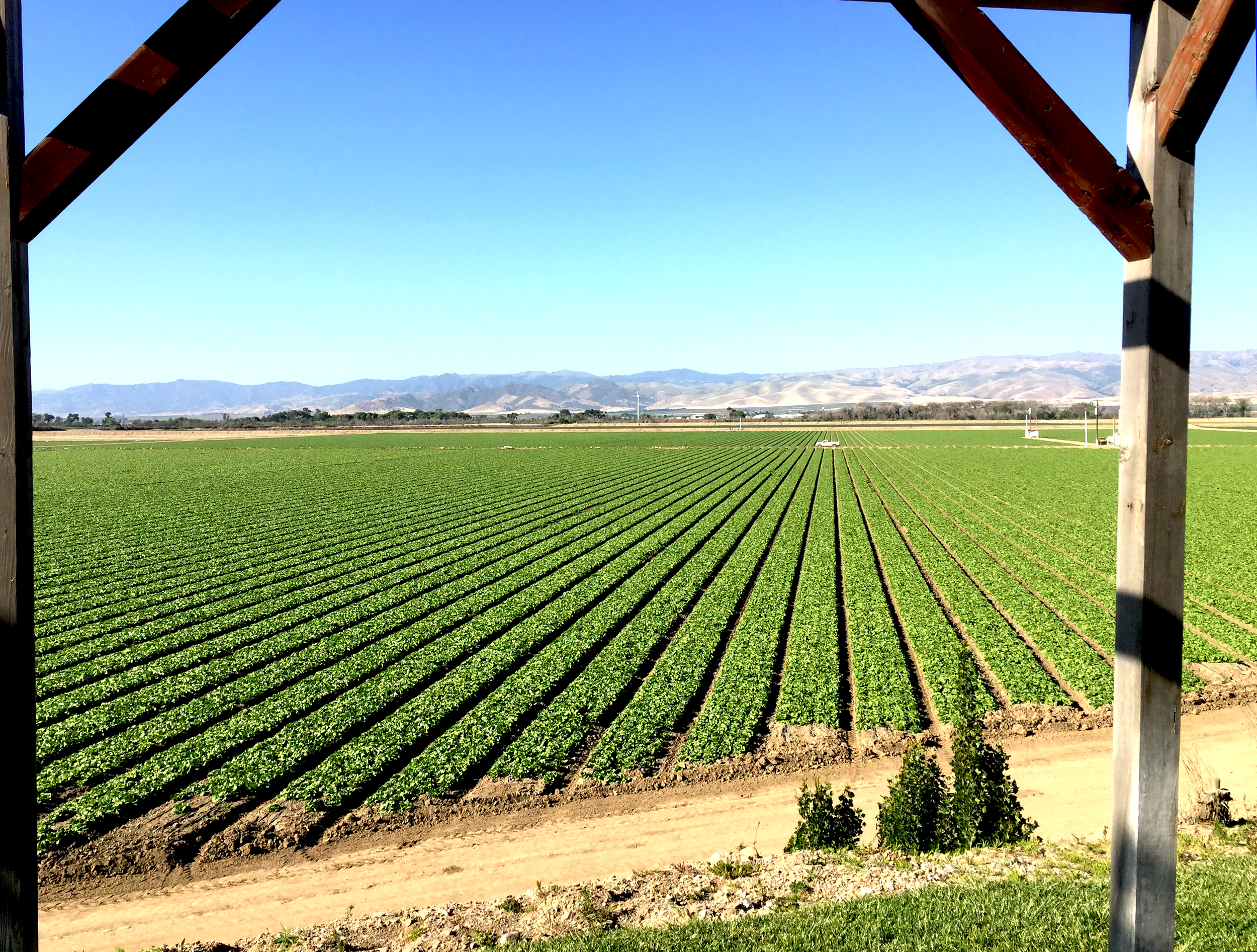 Salinas Valley View