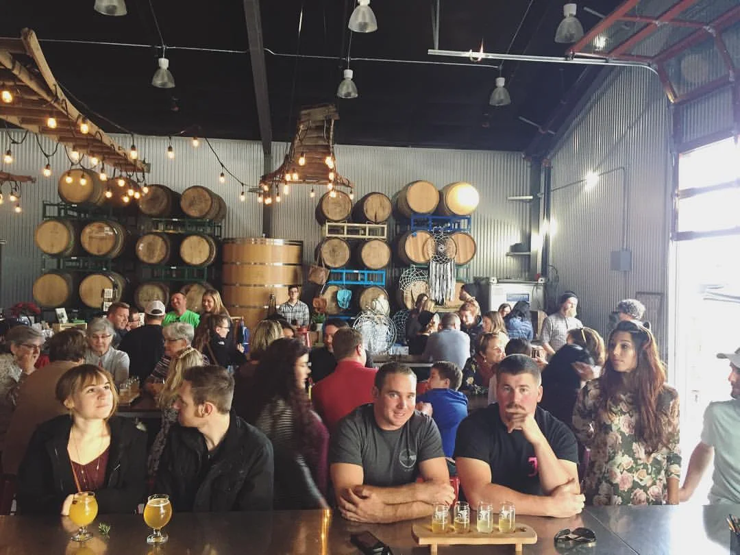 Tin City Cider Company — insolence + wine