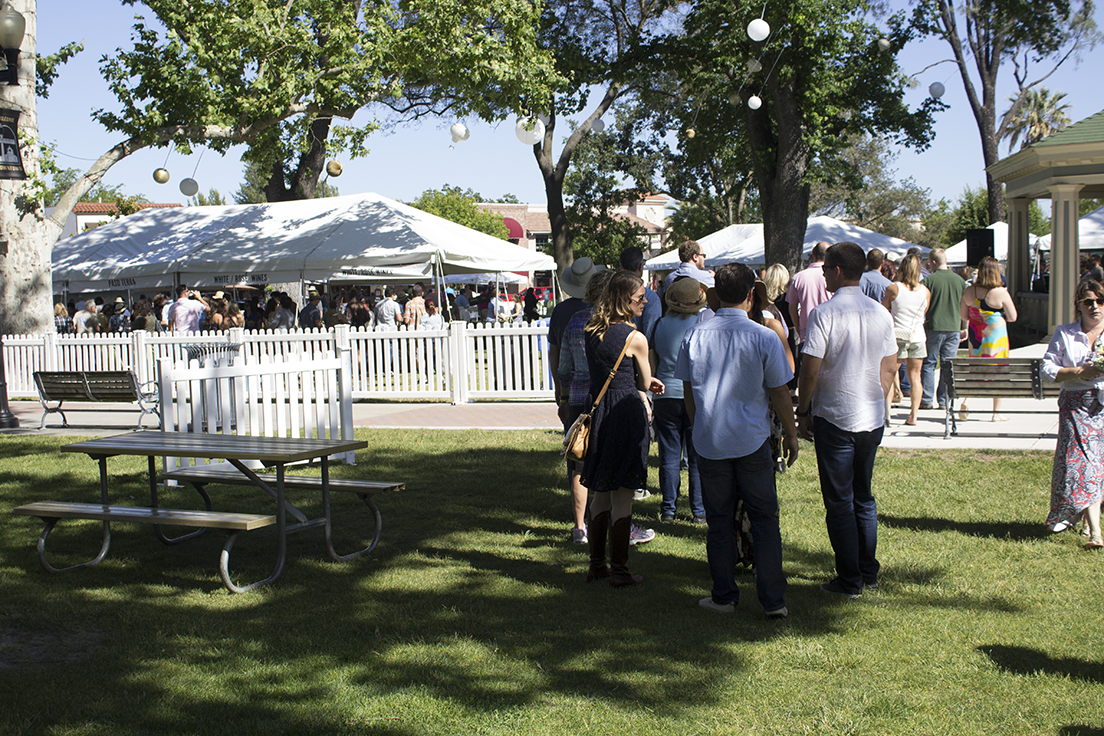 Paso Robles Wine Fest 2017 Review — insolence + wine