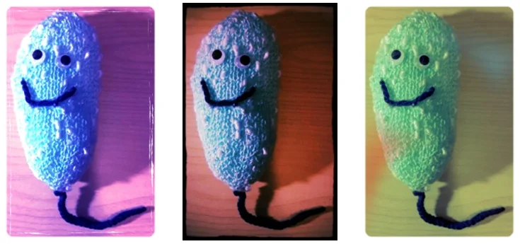 PSEUDOMONAS AERUGINOSA. PLUSHIE CREDIT: BUSHRA KHAN. PHOTO CREDIT: JOY TSENG.
