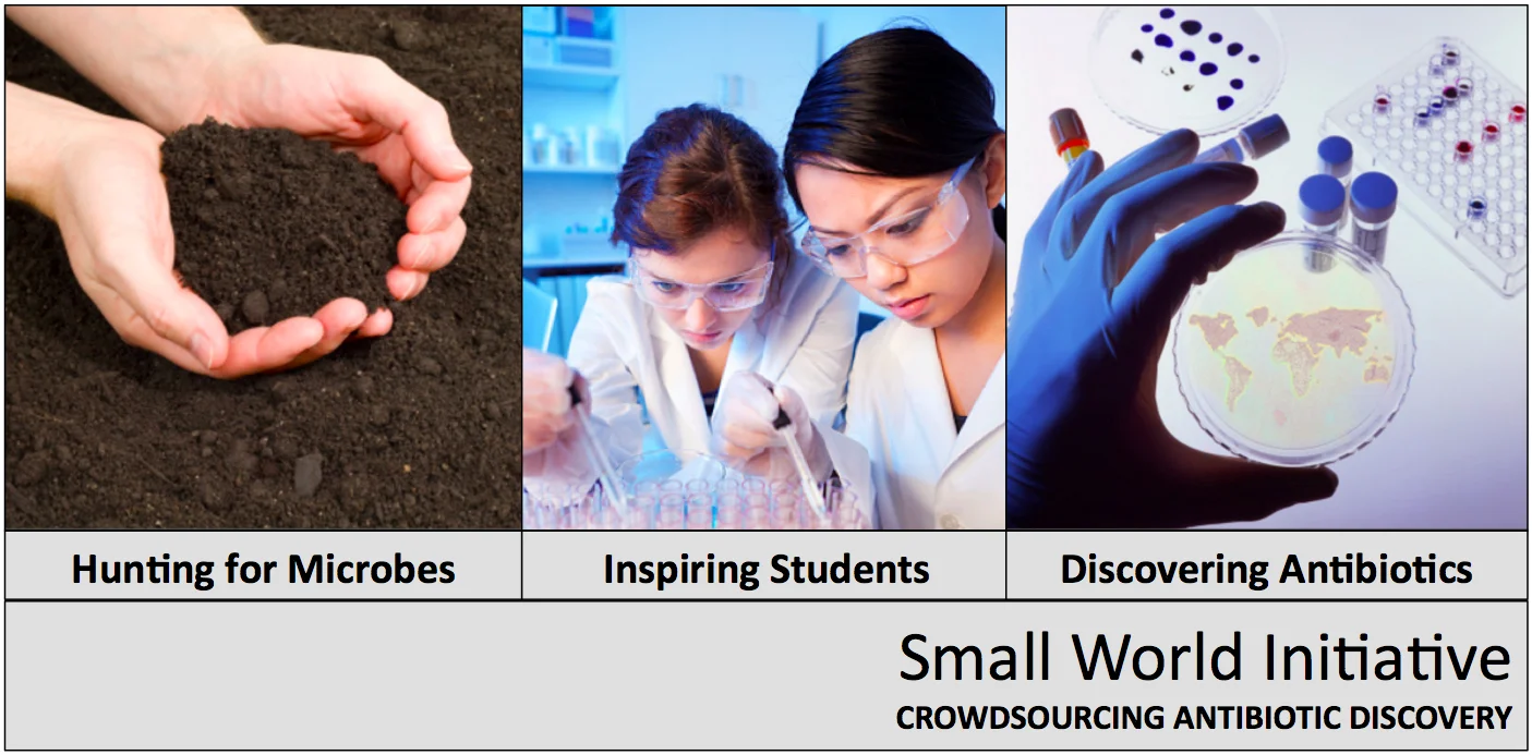 Our Approach Banner Image.jpg