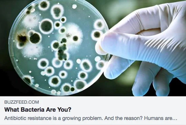 Buzzfeed Quiz: What Bacteria Are You? Team: Alexis Villani, Alicia Sanchez Martinez, Kristine Nguyen, and Rinavien Odina; University of California, Irvine. To take the quiz, click here .