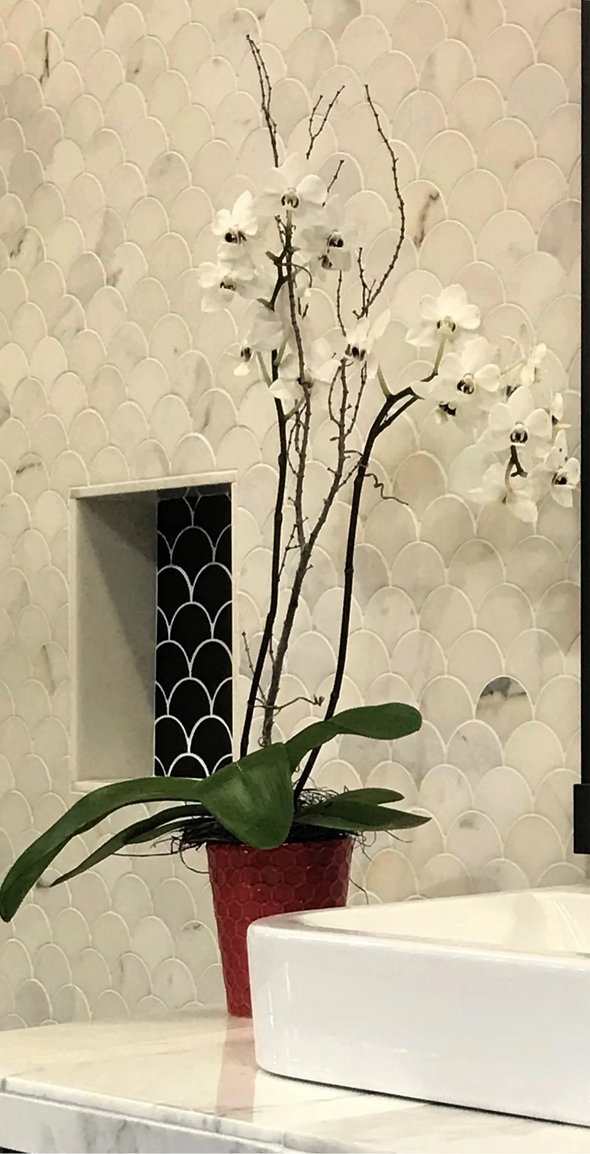 flowers.jpg