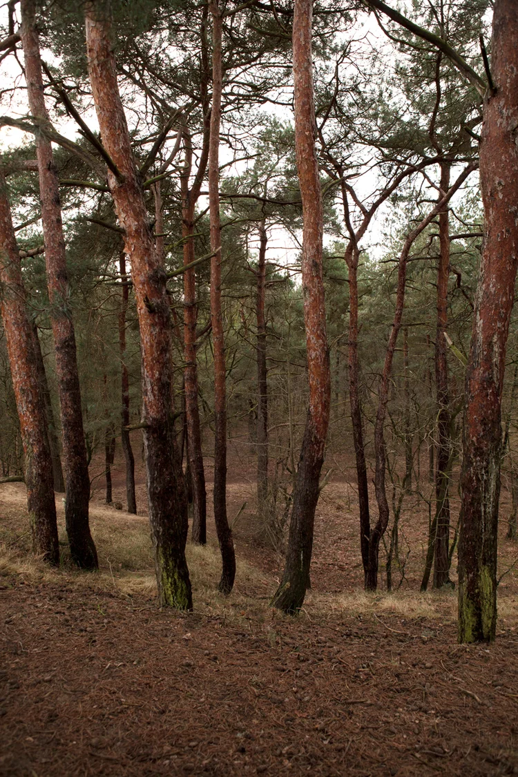 SofievanEsch_Roots_IMG_1072.jpg