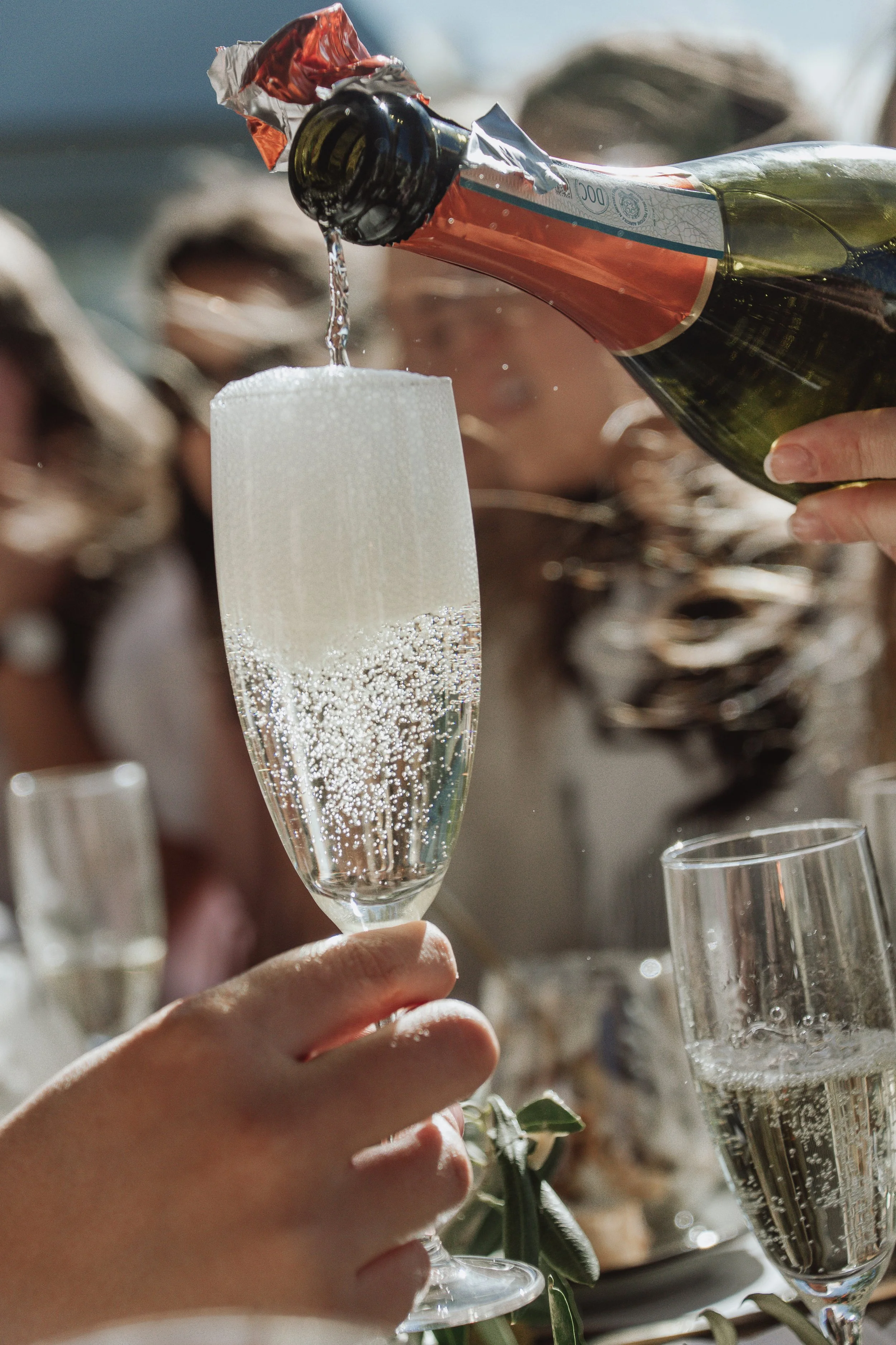 Wine Tasting: Celebratory Sparkling Wines