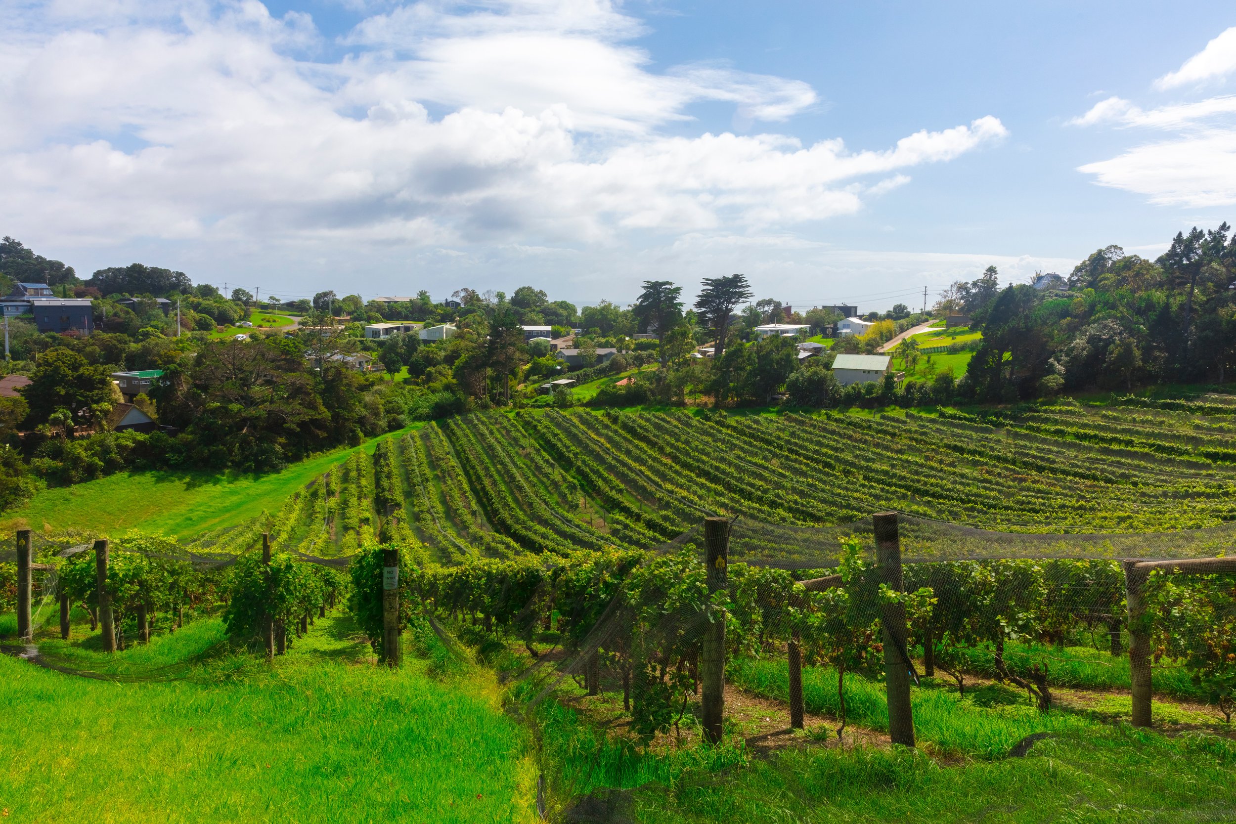 Hawke's Bay - New Zealand