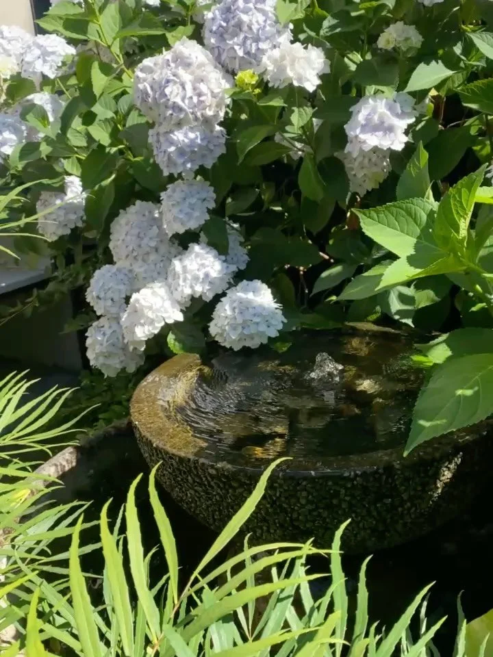 Springtime in the garden and a cozy covered patio await 🌿 Our outdoor dining offers three distinct vibes:

🌺Covered Heated Patio (reservable): perfect for 1&ndash;6 guests. Book online, or call/email for larger groups.

🌸Outdoor Garden (first-come