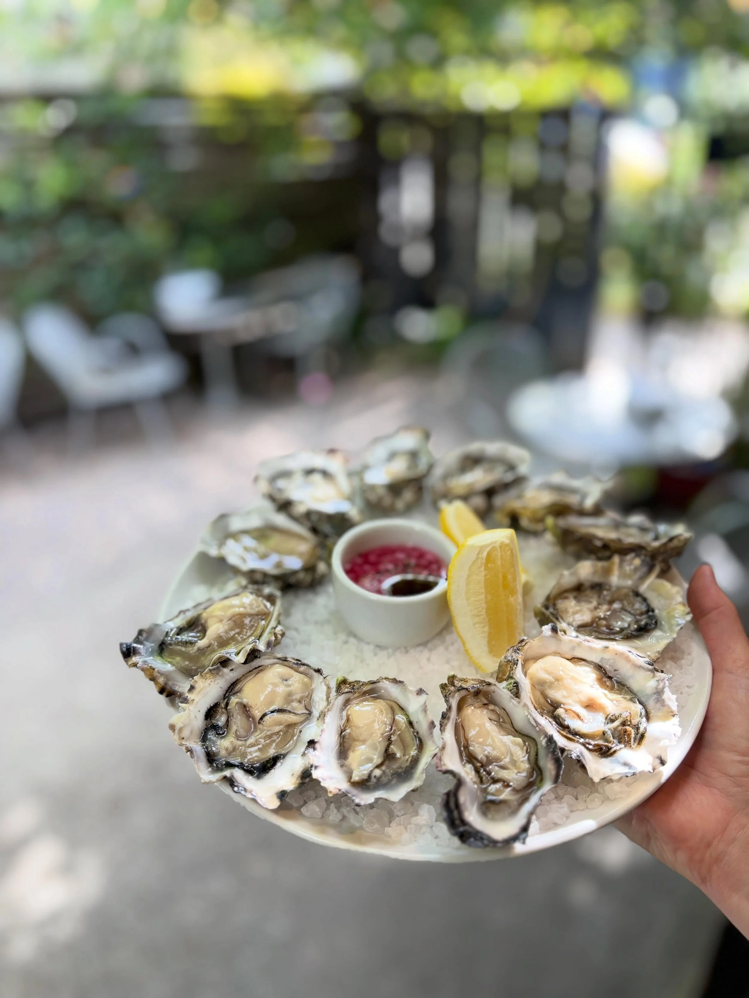 Some things just belong together: oysters and wine, friends and conversation, an hour with nowhere else to be. 🦪🍷

Join us daily from 4&ndash;5 PM for Oyster Happy Hour featuring:

✨ $3 Hama Hama oysters
✨ &frac12;-price wines by the glass

Whether