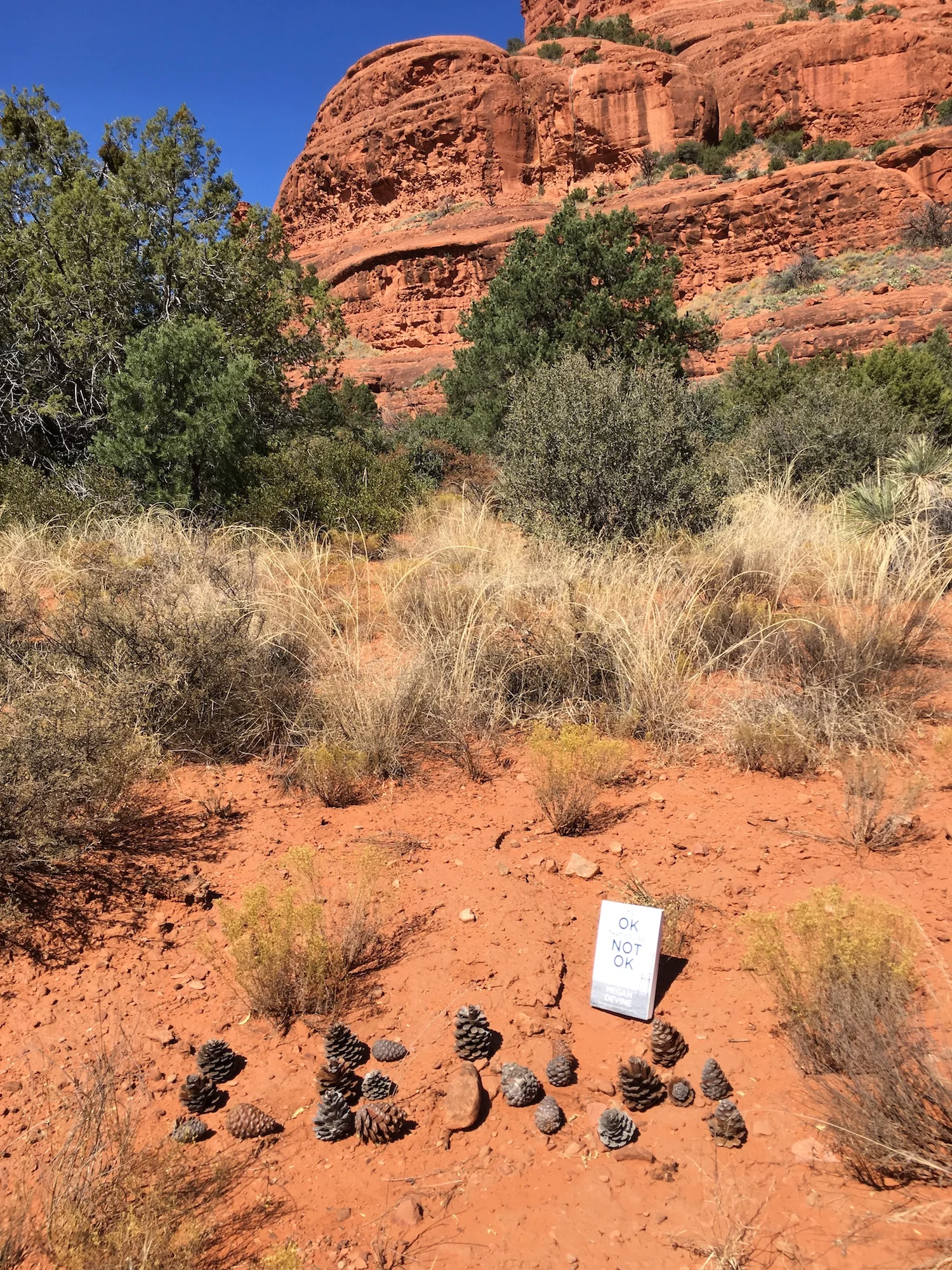 Bell Rock + Its OK that you're not ok book; lifeisaprettyword.com