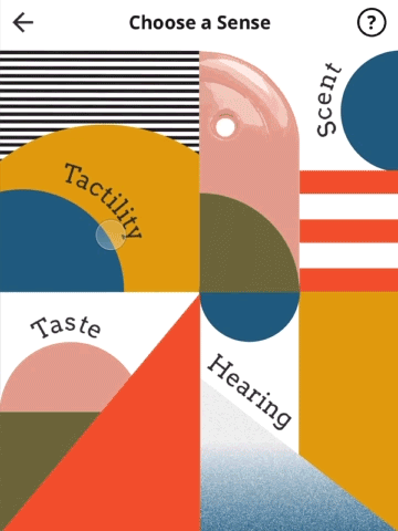 Choosing-Tactility.gif
