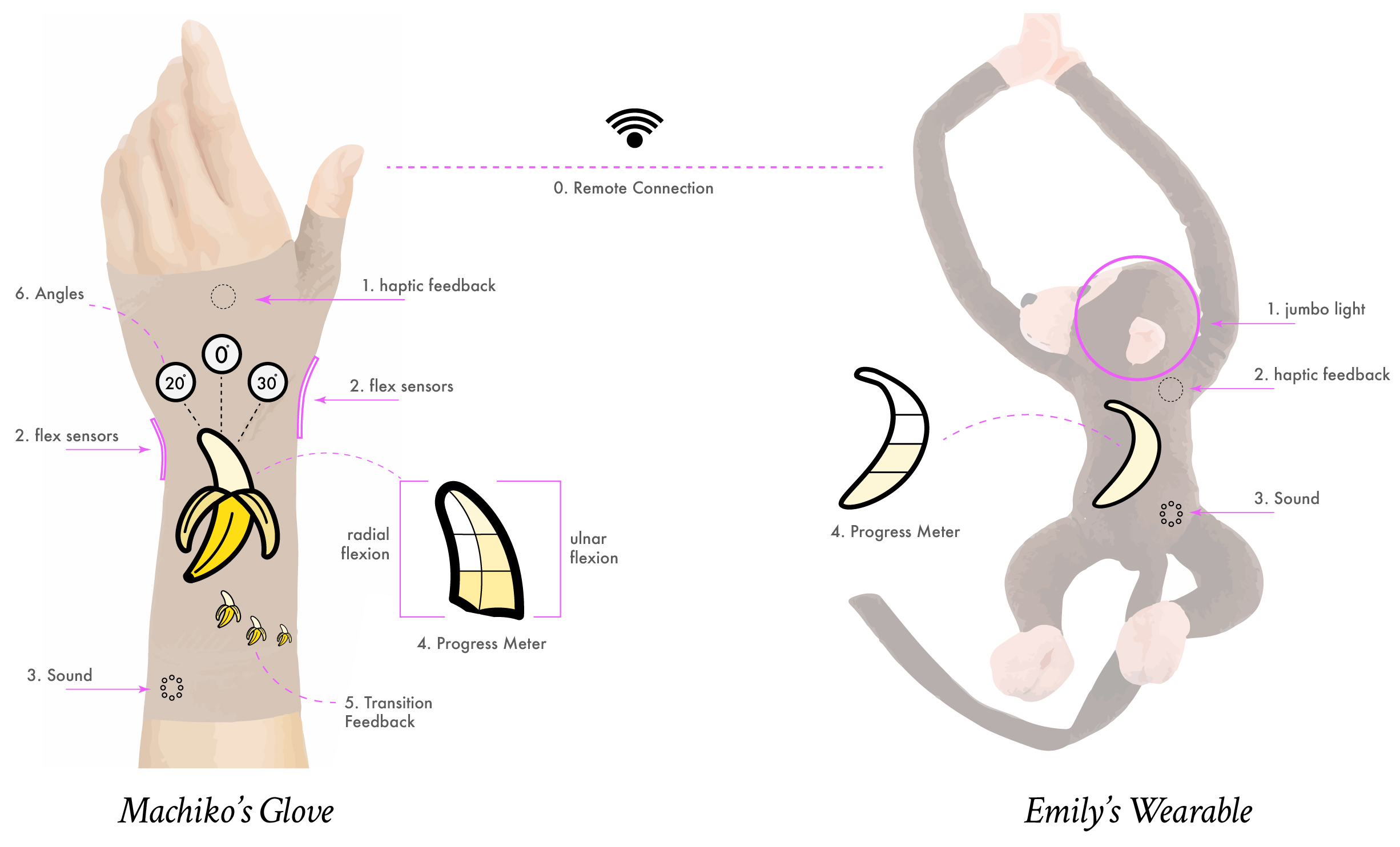 Project Anatomy-01.jpg
