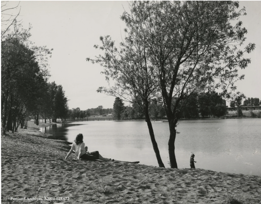 Presence and Preservation: Force Lake Birdwatching and Historical Walking Tour