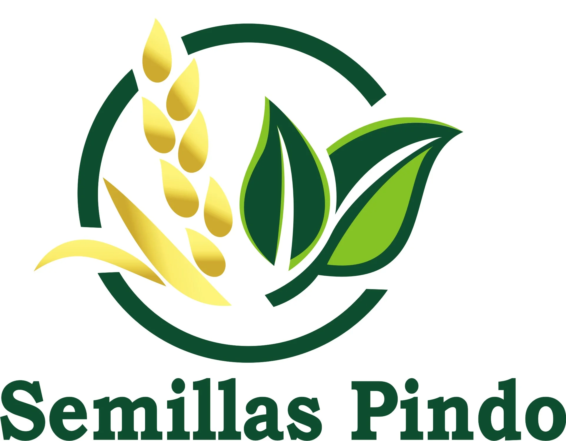 LOGOMARCA SEMILLAS COOPERATIVA PINDO.jpg