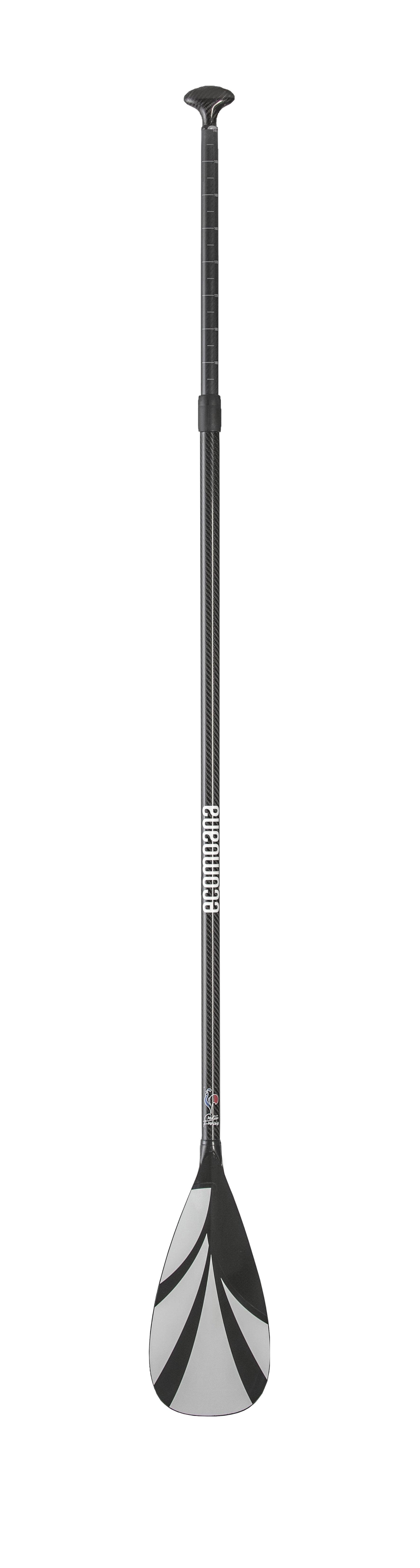 Ecomoana Paddle VI.png