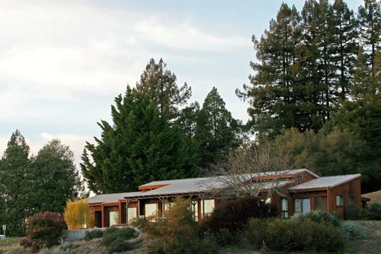 Santa Cruz Mountains - Double