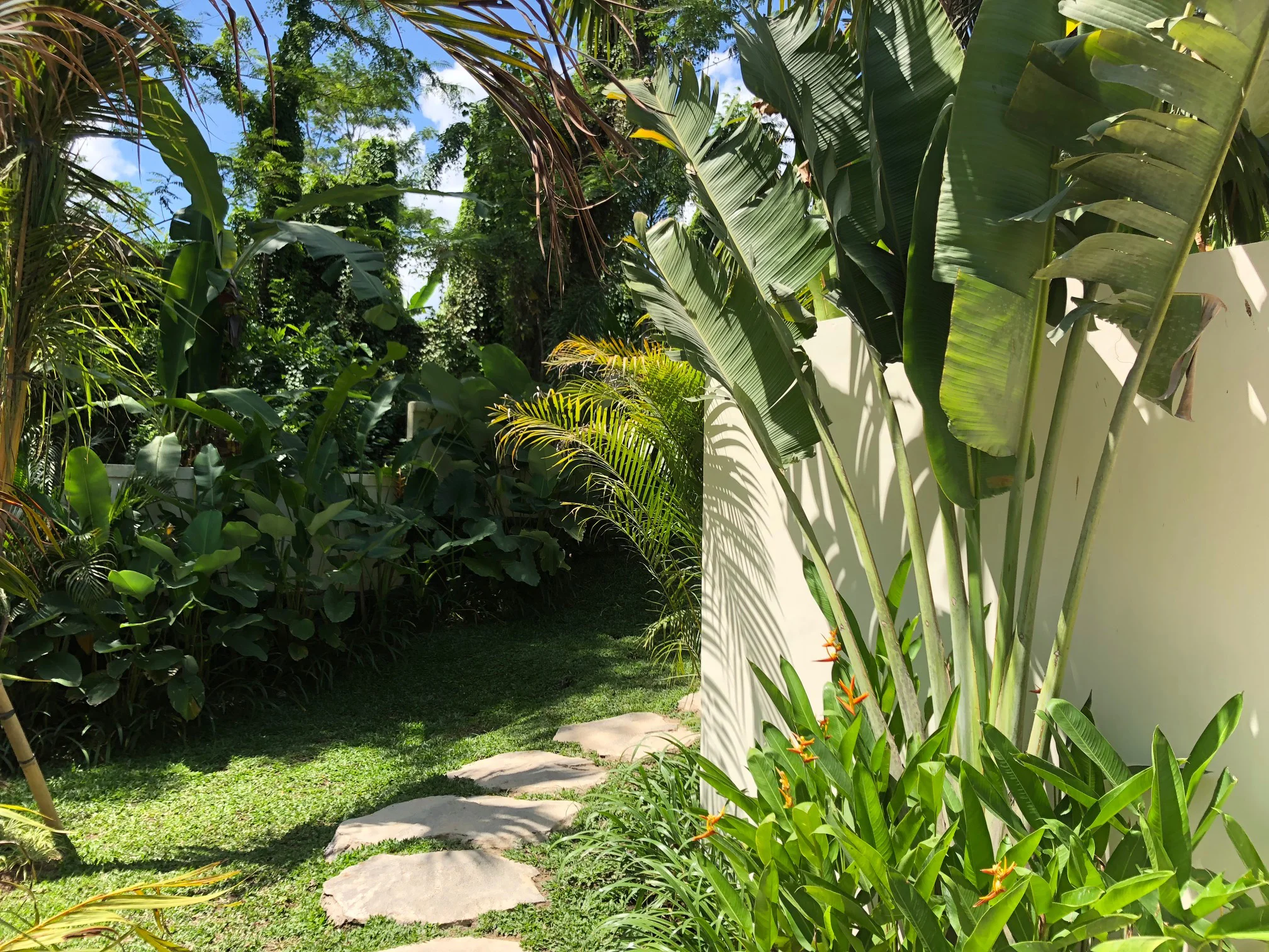 garden2.jpg
