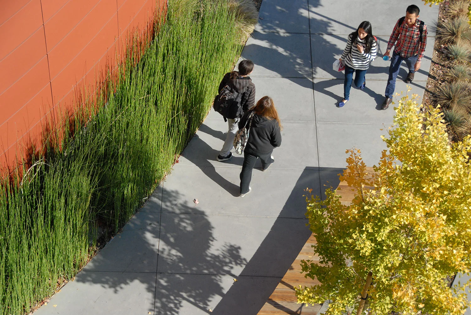 De Anza College — Atelier|CB