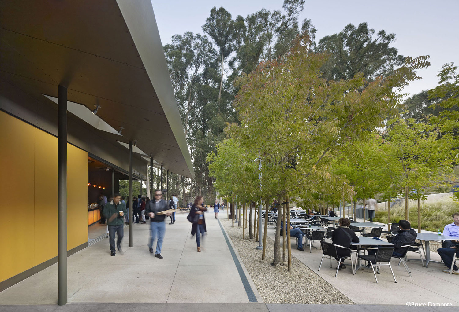 OCB_Calshakes8.jpg