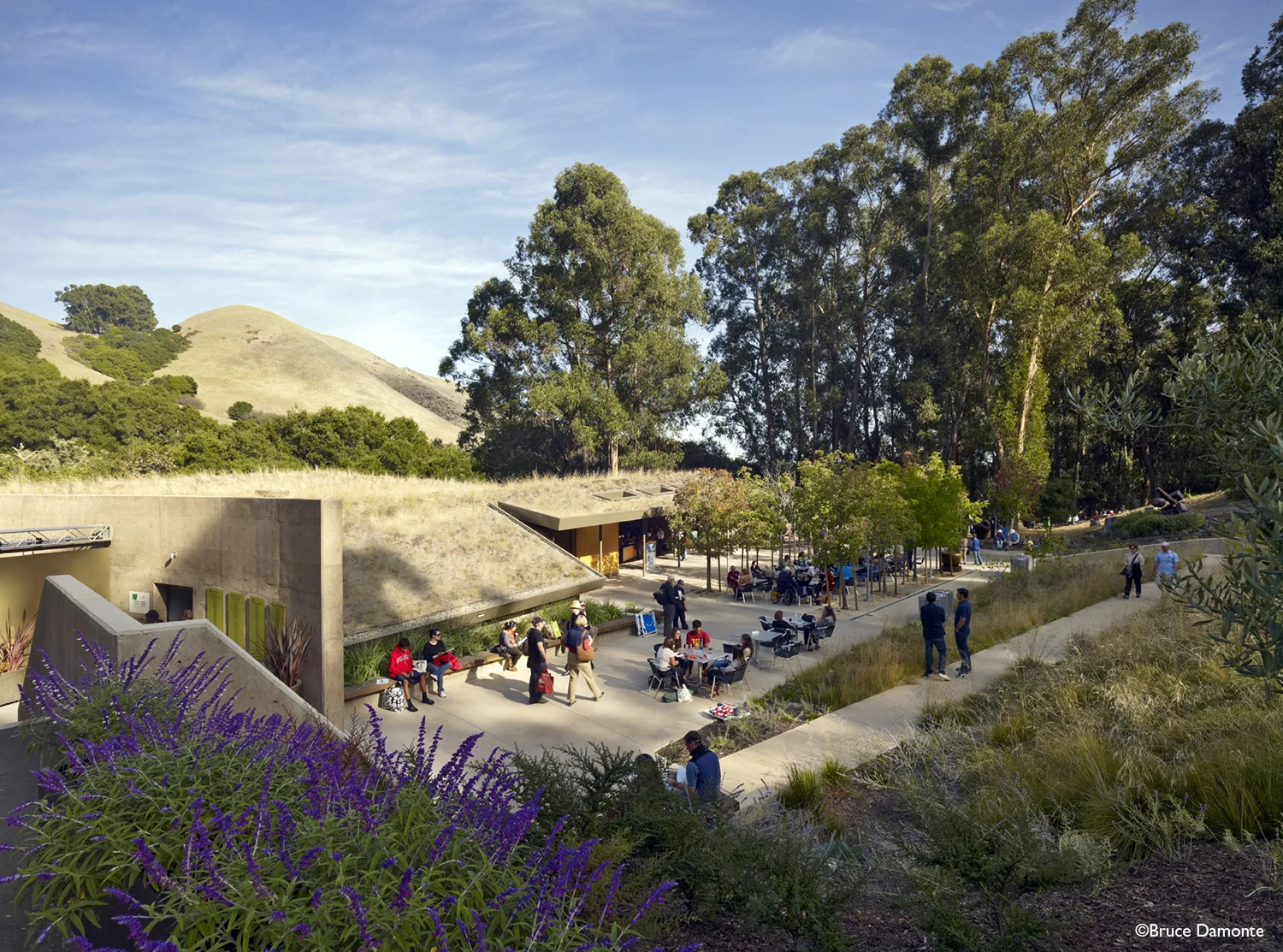 OCB_Calshakes3.jpg