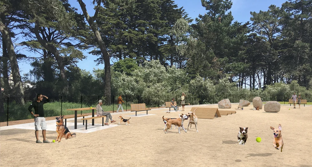 Golden Gate Park Dog Run — AtelierCB