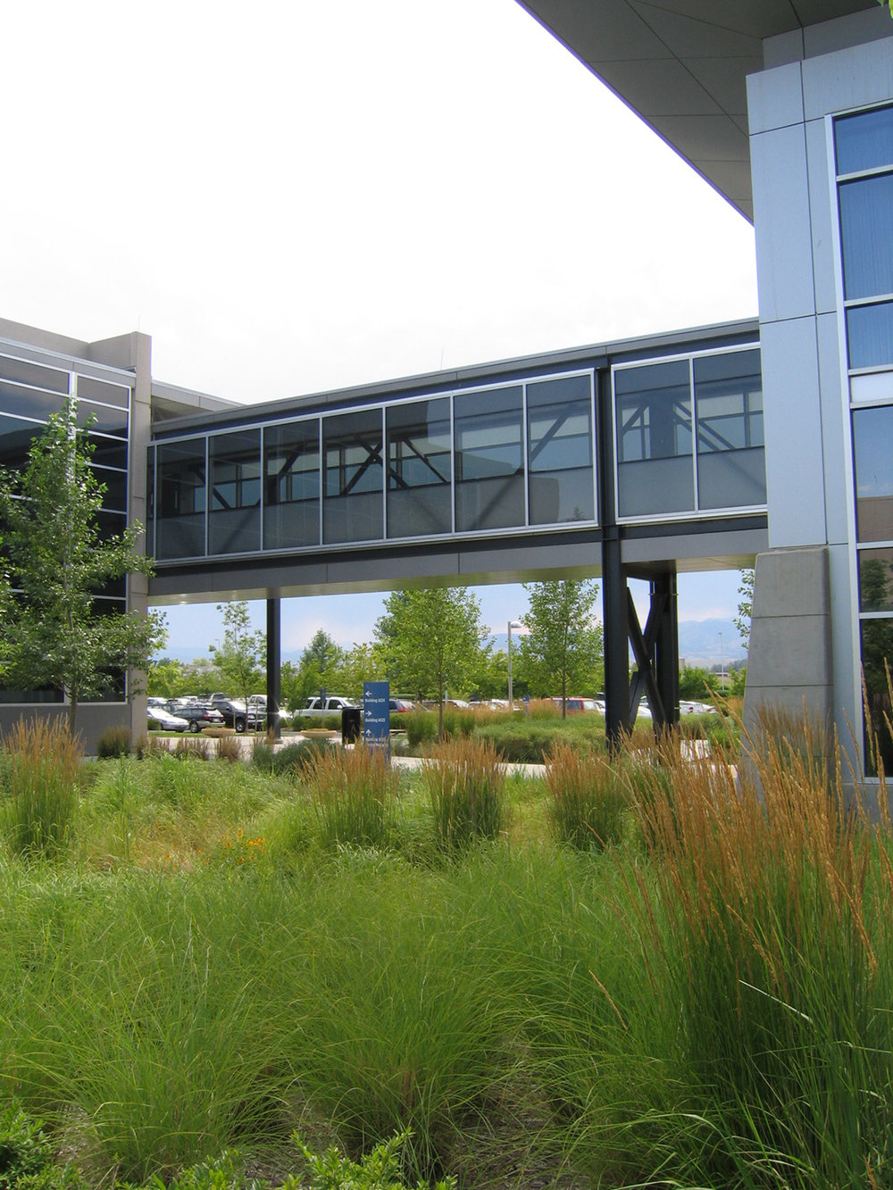  Amgen Campus Master Plan and Landscape Design,  Longmont CO   Photo Credit: C. Vickers 