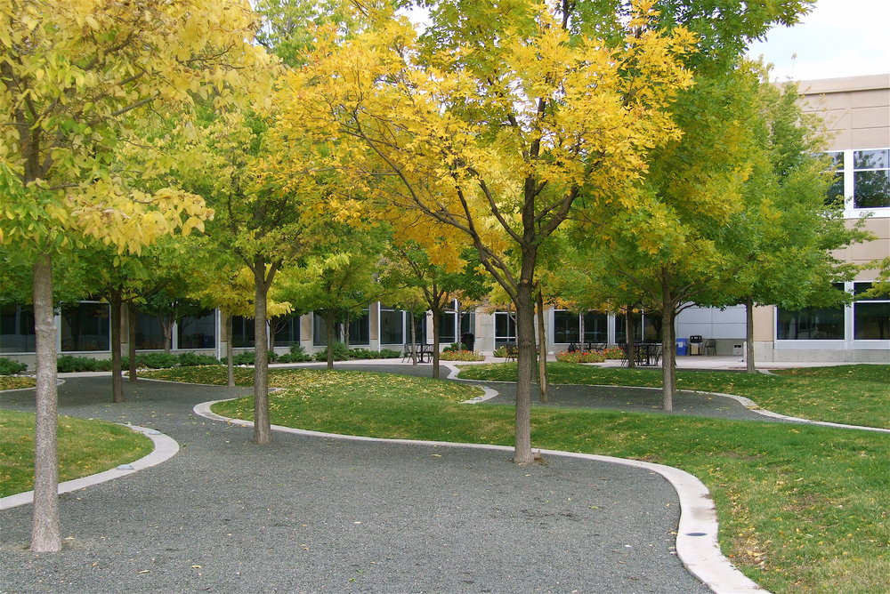  Amgen Campus Master Plan and Landscape Design,  Longmont CO  