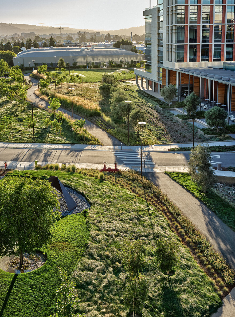 190712_OCB_Stanford_MHarveyPhotos_4076v2.jpg