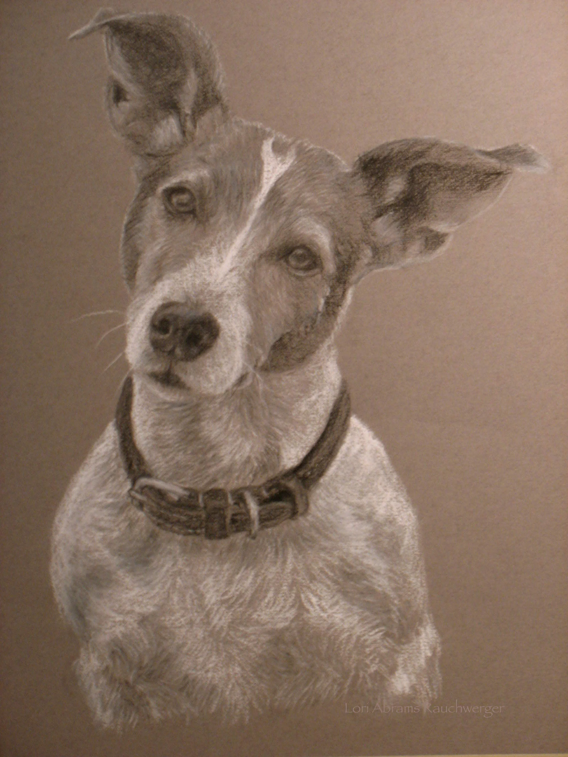 Jack Russell Terrier for paper print 11%22 x 14%22_2.jpg