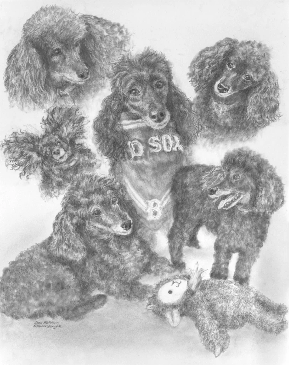 Rauchwerger-FACES-Graphite-11x14.jpg