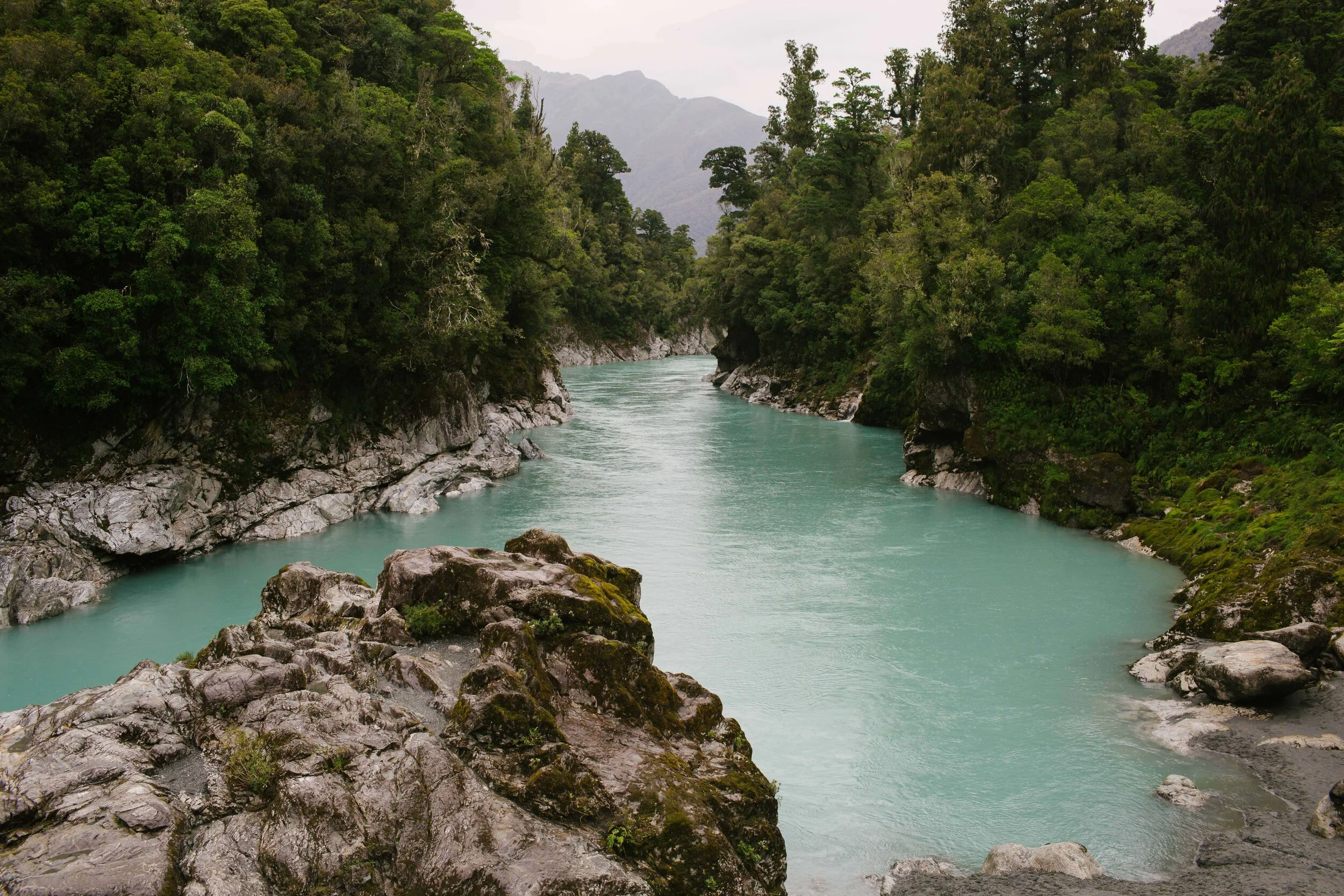 Hokitika River Gorge (1).jpg