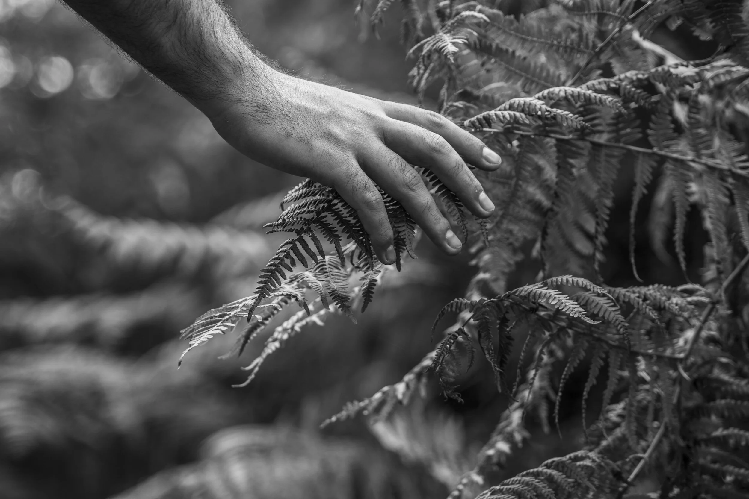 Self-Compassion: A Practice that Promotes Healing