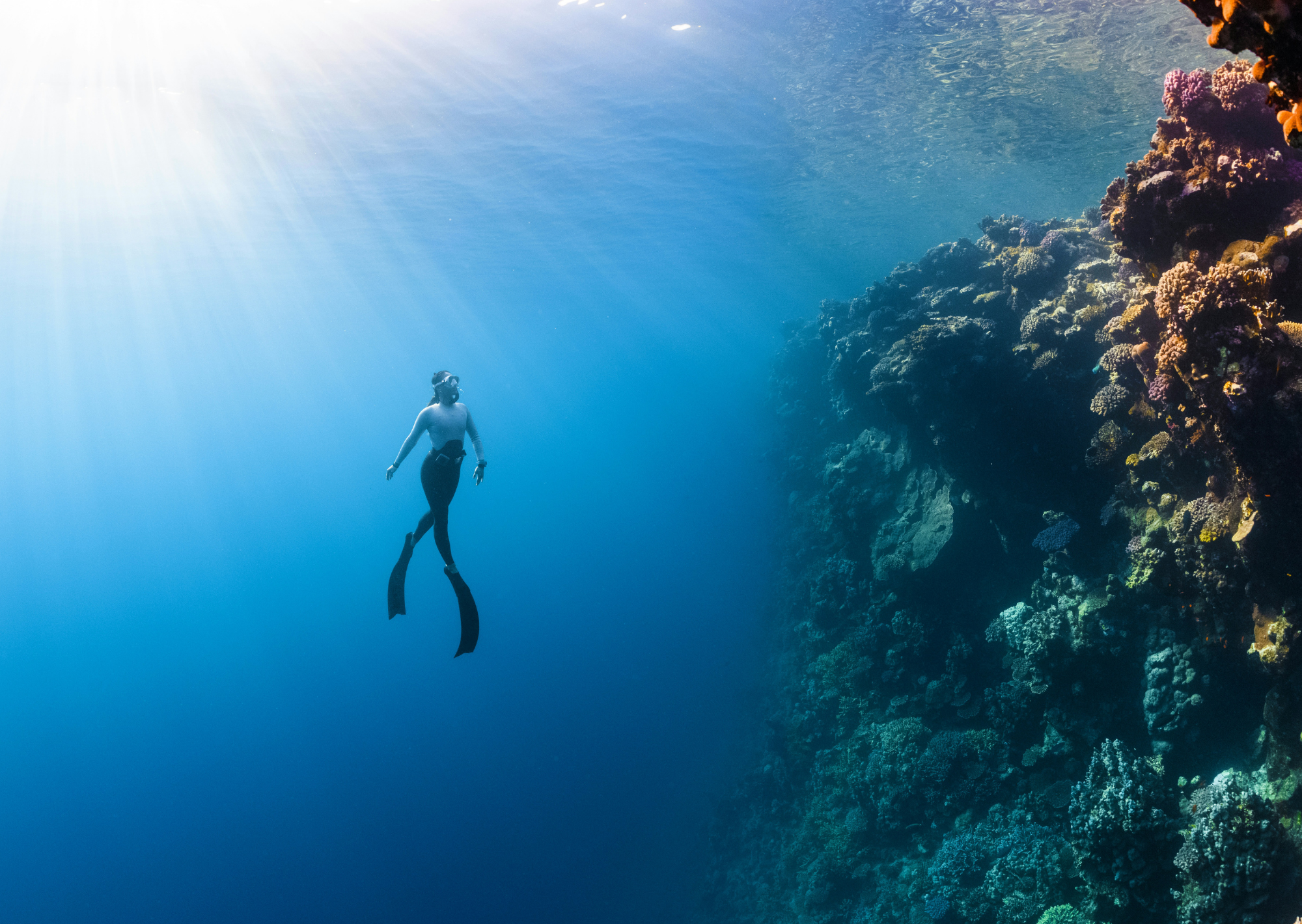 How an Athlete’s Mindset Led Me to Depth Psychology