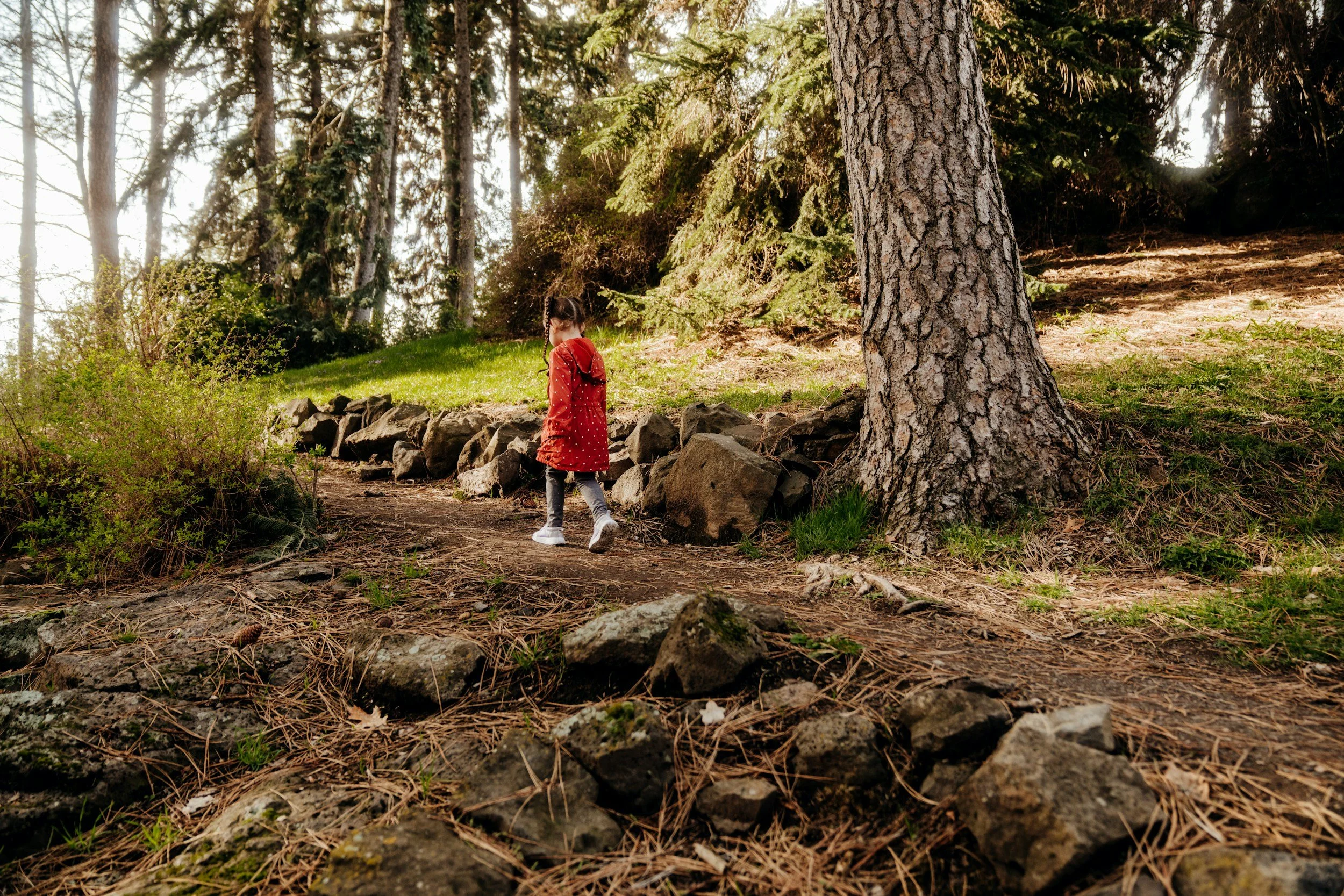 child in forest