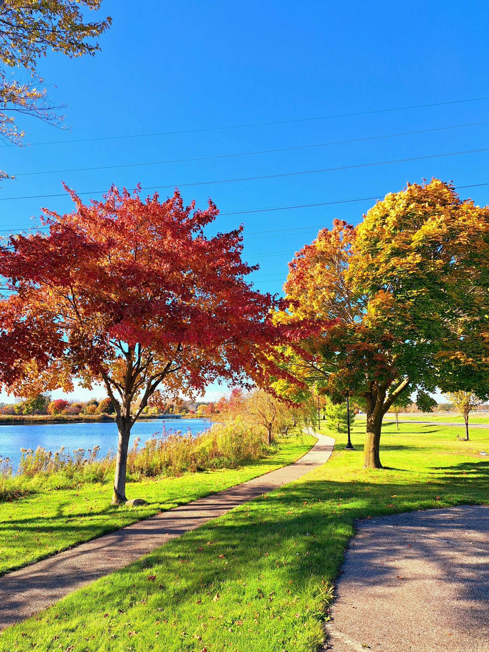 What the Changing Seasons Can Teach Us About Change
